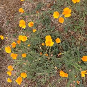 Meet your Posher, Alana